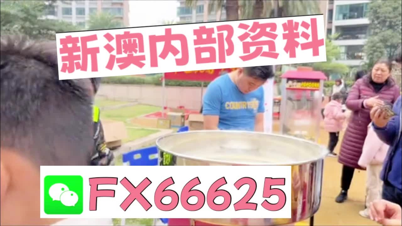 新澳天天彩資料大全最新版本陽肖，探索與策略，新澳天天彩資料大全最新版本陽肖，探索與策略揭秘