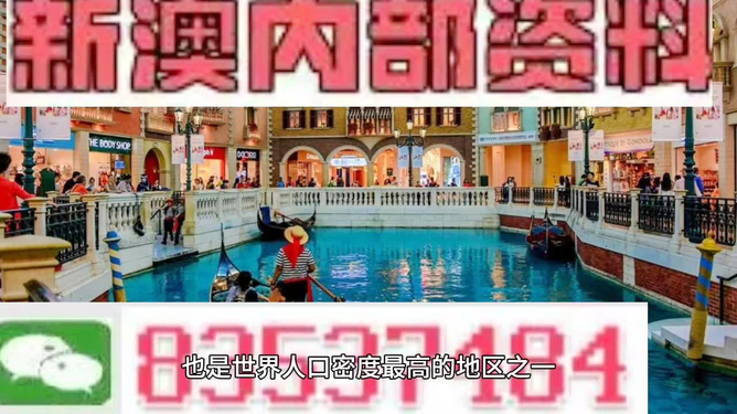 澳門王中王正版游戲，探索未來的新篇章（2025年展望），澳門王中王正版游戲，探索未來新篇章，展望2025年發(fā)展