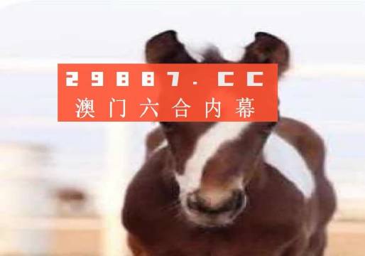 澳門一肖一碼狀元紅，揭秘彩票背后的秘密與策略，澳門彩票揭秘，狀元紅背后的秘密與策略解析