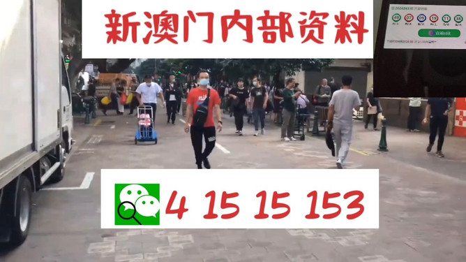 澳門管家婆，揭秘一種獨特的文化現象與娛樂體驗，澳門管家婆，文化現象與娛樂體驗的揭秘