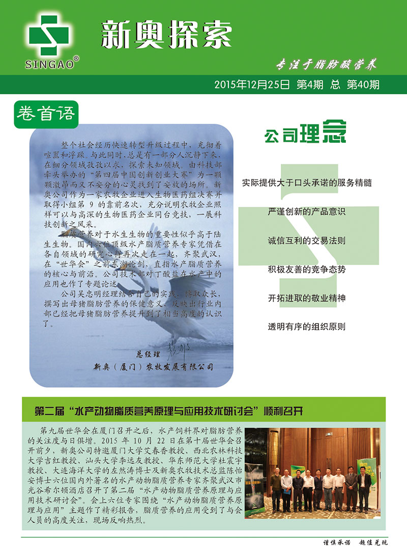 2025新澳正版資料查詢指南，2025新澳正版資料查詢手冊