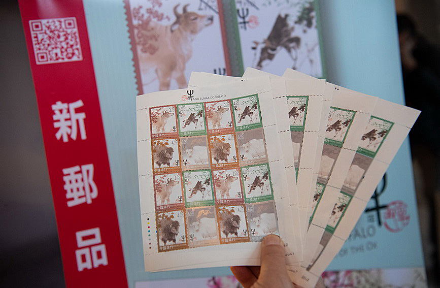 澳門值日生肖600圖庫與八百圖庫開獎，探索生肖圖庫的魅力與奧秘，澳門生肖圖庫開獎揭秘，探索值日生肖600圖庫與八百圖庫的魅力與奧秘