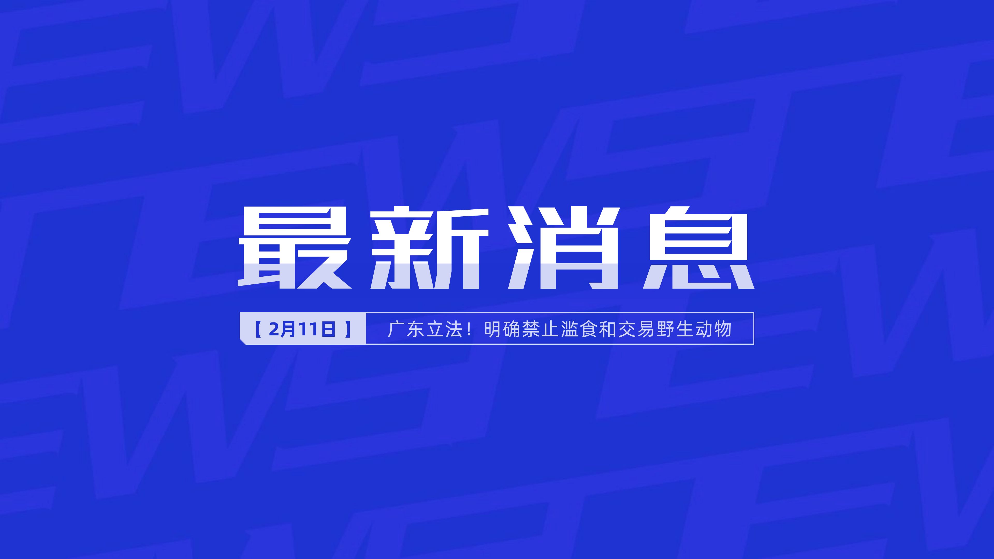 新聞最新新聞，掌握時(shí)事熱點(diǎn)，洞悉世界動(dòng)態(tài)，時(shí)事熱點(diǎn)速遞，掌握全球最新動(dòng)態(tài)新聞
