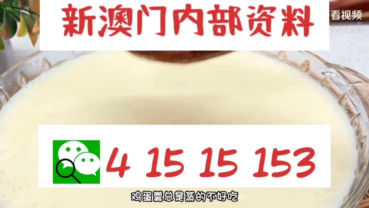 新澳門中特網(wǎng)中特馬，探索與解析，澳門中特馬探索與解析指南