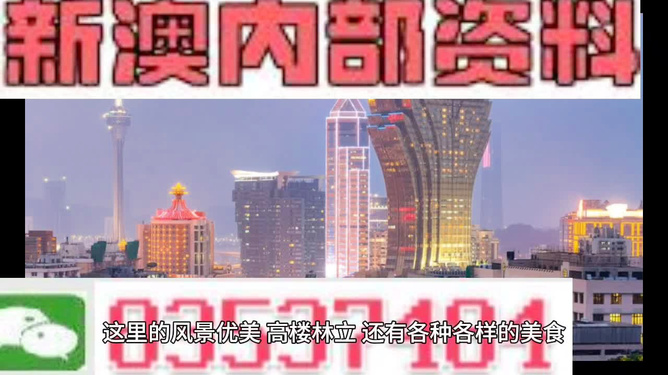 澳門精準(zhǔn)的資料大全，探索與發(fā)現(xiàn)，澳門精準(zhǔn)資料大全，探索未知的寶藏