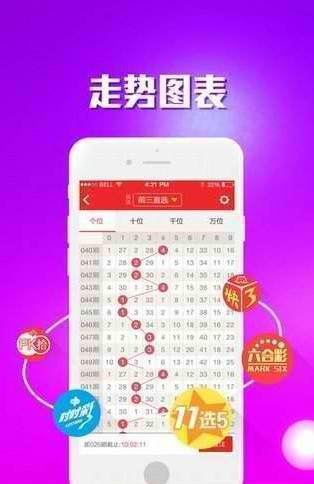 王中王精選發(fā)財一肖，揭秘生肖運勢與財富之道，揭秘生肖運勢與財富秘密，王中王精選發(fā)財一肖指南