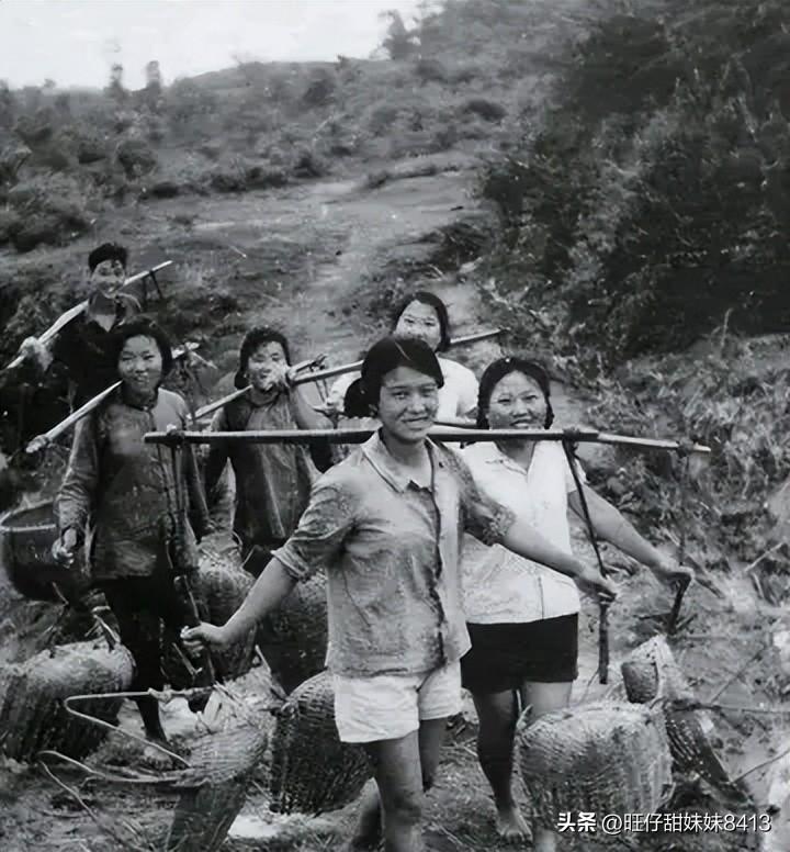 關(guān)于49圖庫圖片資料的專業(yè)解析與探索，49圖庫圖片資料深度解析與探索