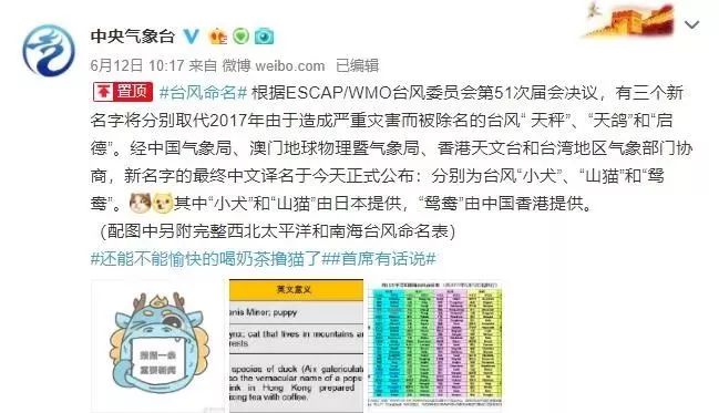 新澳門必中三肖三碼三期必開劉伯，揭秘彩票背后的秘密與策略，揭秘彩票背后的秘密與策略，劉伯的新澳門三期必開三肖三碼預(yù)測(cè)技巧