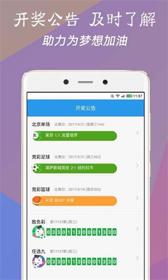 澳門今一必中一肖一碼一肖，揭秘彩票背后的秘密與策略，揭秘彩票背后的秘密與策略，澳門今一必中一肖一碼一肖探秘