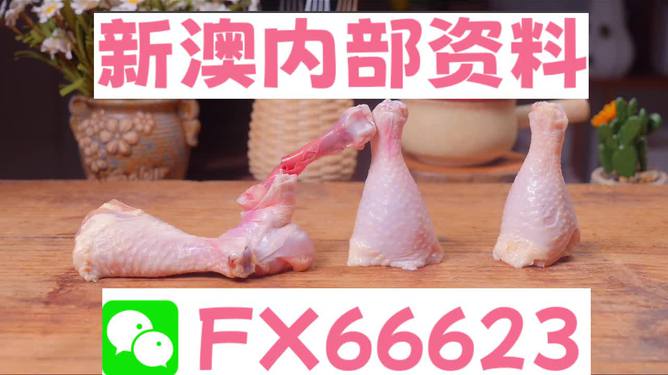 澳門一碼中精準一碼免費中特論壇，探索精準預測的魅力與優(yōu)勢，澳門一碼精準預測探索論壇，優(yōu)勢與魅力展現(xiàn)