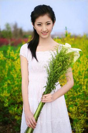 新澳門生肖走勢圖精準版，解讀與SEO策略，新澳門生肖走勢圖精準解讀與SEO策略揭秘