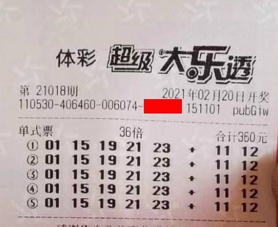 王中王018期指一生肖，揭秘背后的奧秘與意義，揭秘生肖奧秘，王中王生肖背后的意義與秘密