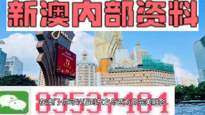 新澳新澳門正版資料，探索與解析，新澳新澳門正版資料深度解析與探索