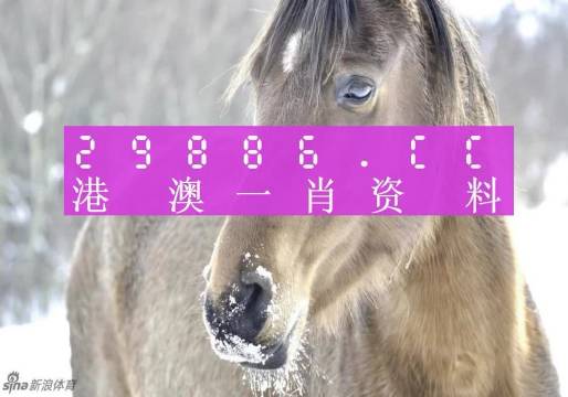 澳門(mén)一肖一碼100%準(zhǔn)確預(yù)測(cè)——揭秘彩票背后的秘密，澳門(mén)彩票預(yù)測(cè)揭秘，一肖一碼100%準(zhǔn)確預(yù)測(cè)背后的秘密