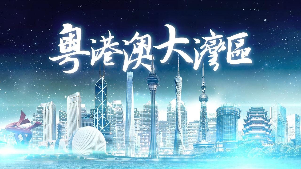 2025年香港正版免費(fèi)資料全面解析，香港正版免費(fèi)資料全面解析（2025版）