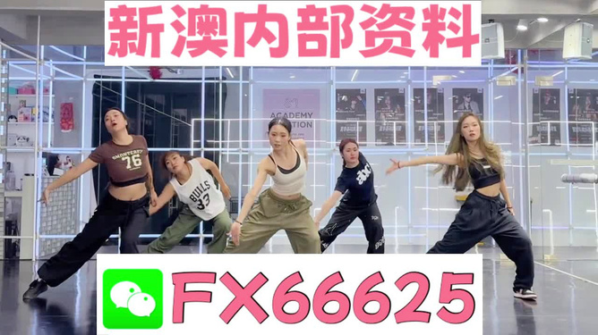 王中王內(nèi)部透肖一肖二碼，深度解析與探索，王中王內(nèi)部透肖一肖二碼深度解析與探索揭秘
