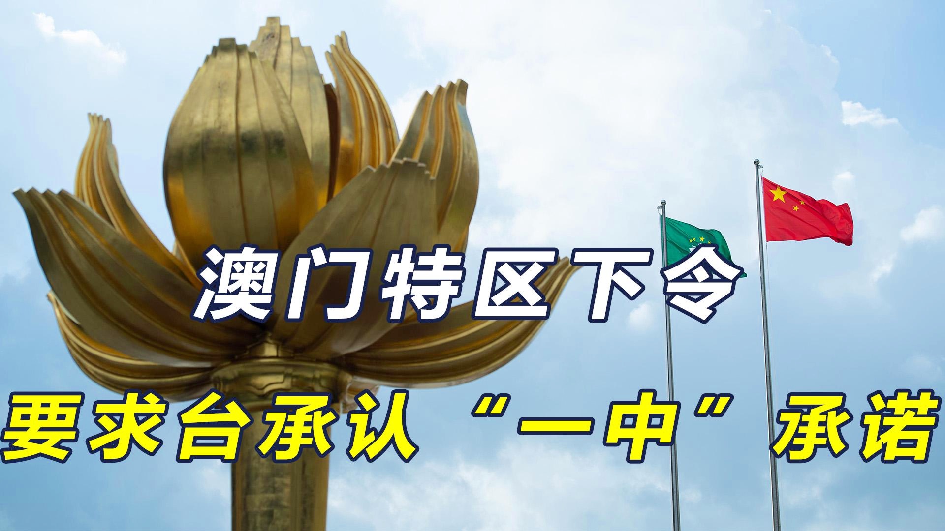 澳門(mén)一碼一肖一特一中今晚預(yù)測(cè)與探索，澳門(mén)今晚一碼一肖一特一中預(yù)測(cè)與揭秘