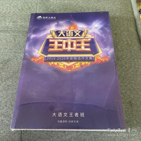 2019王中王資料解析，一肖中qr的秘密，揭秘王中王資料解析與一肖中qr的秘密，解密背后的真相