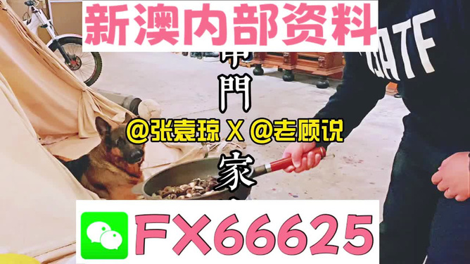 新澳門精準(zhǔn)資料大全，管家婆料解析與探索，澳門精準(zhǔn)資料大全，管家婆料解析與深度探索