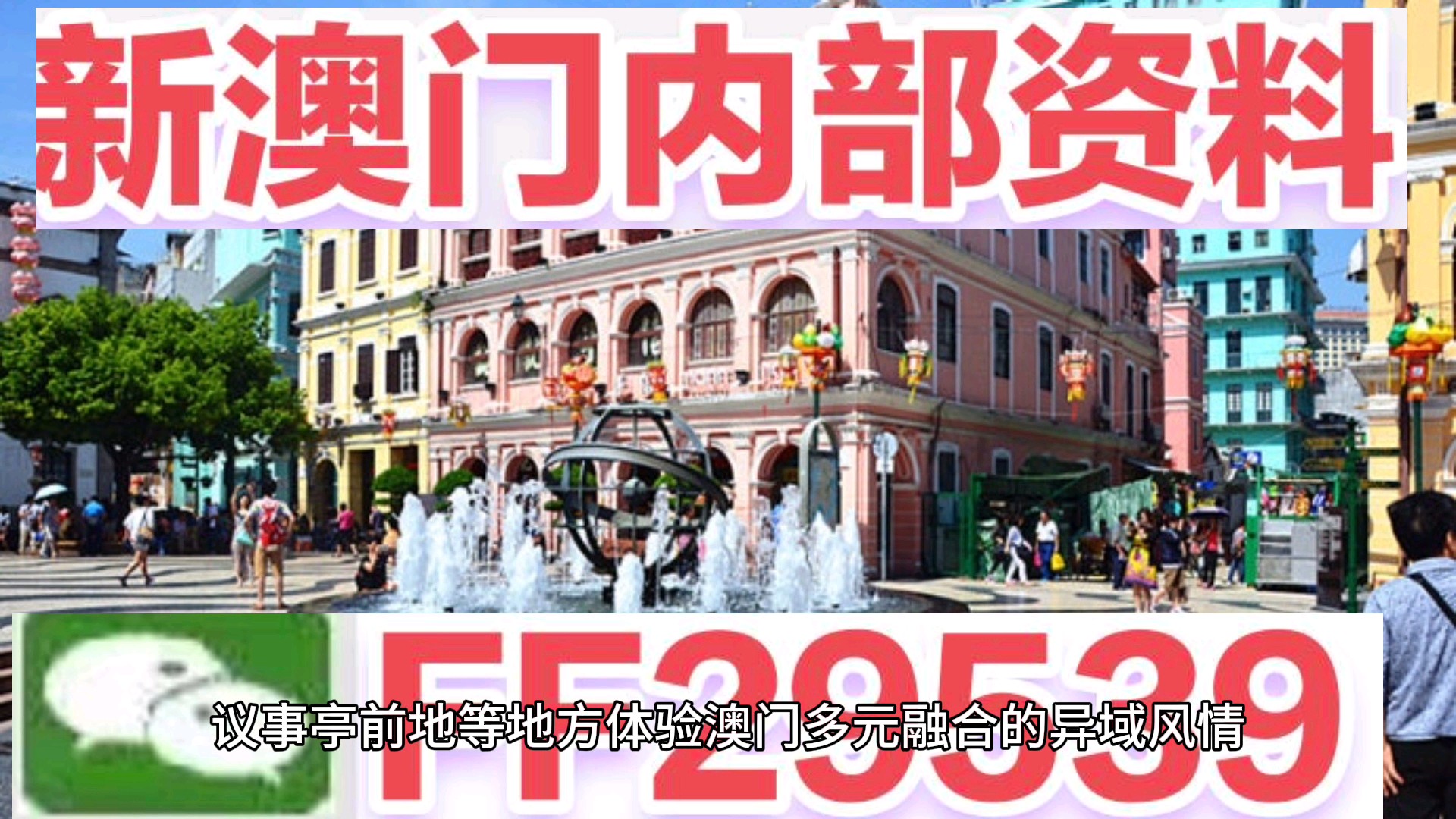澳門今晚必開一肖一特，揭秘生肖彩票的魅力與策略，澳門生肖彩票揭秘，必開一肖一特的魅力與策略