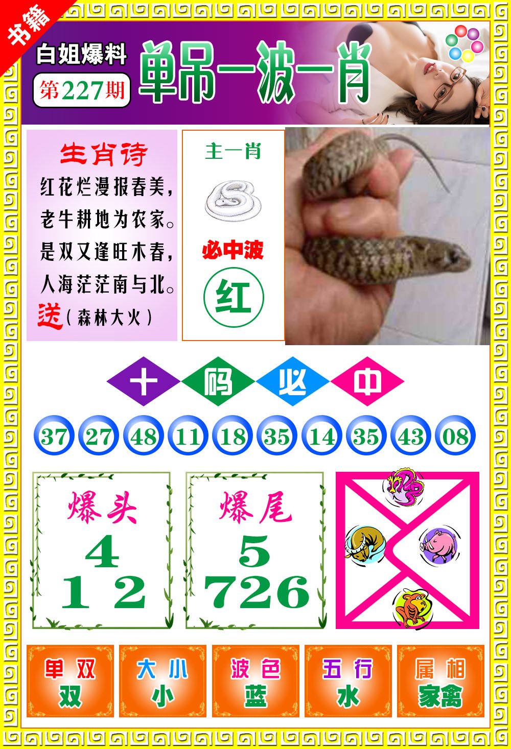 王中王免費(fèi)一肖開獎(jiǎng)，揭秘彩票背后的秘密，揭秘彩票背后的秘密，王中王免費(fèi)一肖開獎(jiǎng)探秘