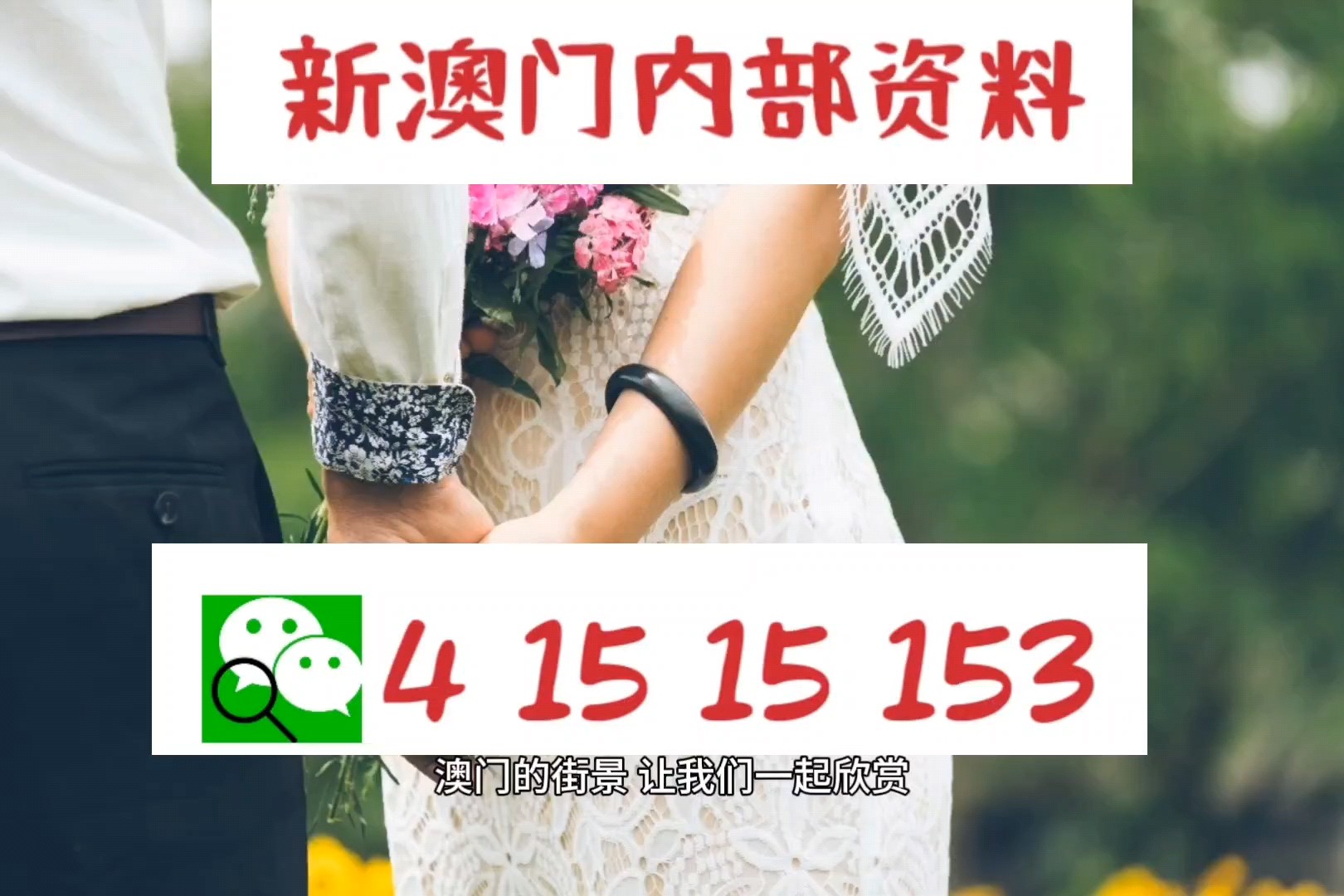 澳門特碼，探索其背后的秘密與魅力，澳門特碼背后的秘密與魅力探索