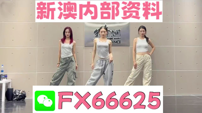 揭秘管家婆一碼中一肖的神秘預測，探尋未來之門 2025展望，揭秘未來之門，管家婆一碼中一肖的神秘預測 2025展望
