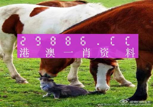 新奧門一肖一碼，揭秘精準預測的秘密，揭秘新澳門一肖一碼精準預測的秘密