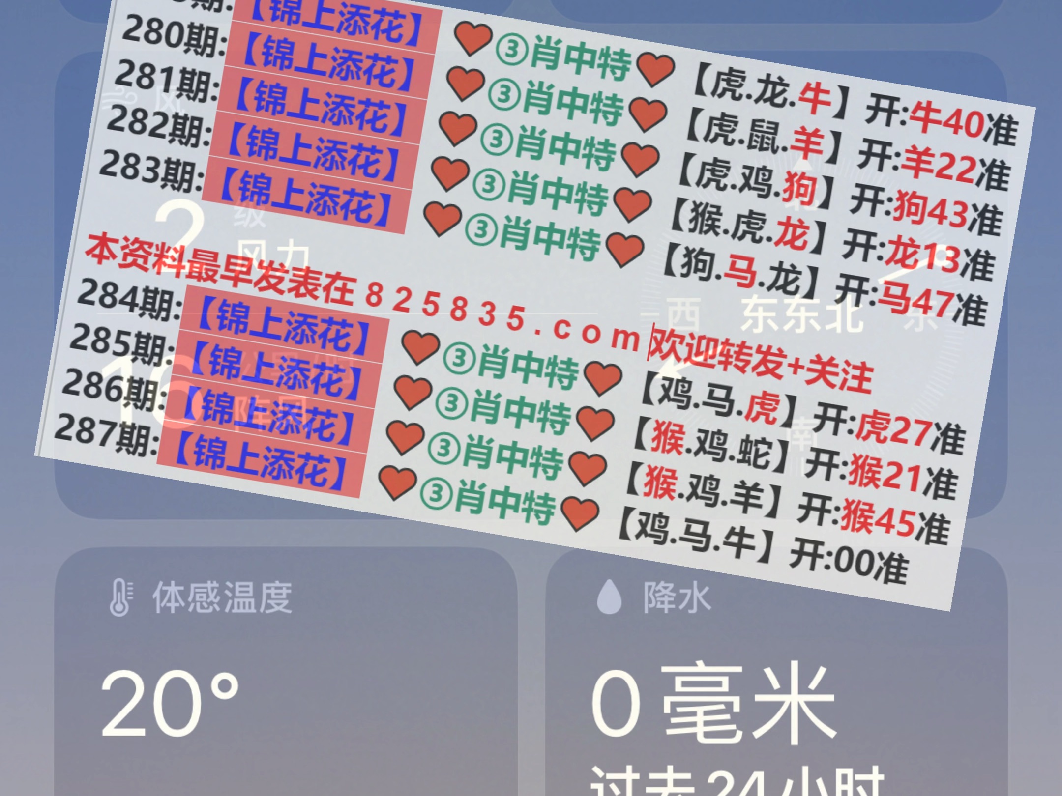 新澳2025年精準(zhǔn)一肖一碼，揭秘預(yù)測背后的秘密，揭秘新澳2025年精準(zhǔn)一肖一碼預(yù)測背后的秘密
