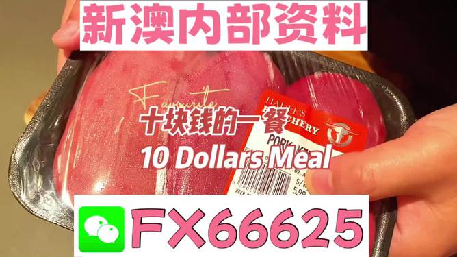 揭秘2025新澳精準(zhǔn)資料免費(fèi)大全——一站式獲取最新資源，揭秘2025新澳精準(zhǔn)資料免費(fèi)大全，最新資源一站式獲取