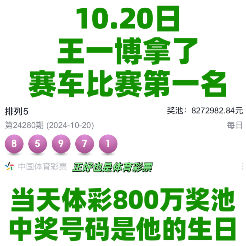 王中王一肖資料中特馬——深度解析與SEO洞察，王中王一肖特馬深度解析與SEO洞察揭秘