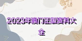 澳門資料大全正版資料查詢，探索澳門的文化與歷史深度之旅，澳門文化與歷史深度探索，正版資料大全及查詢指南