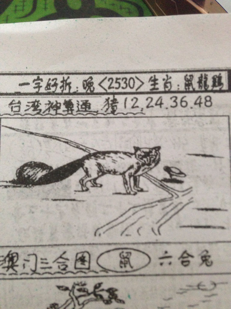 揭秘生肖奧秘，看圖猜一生肖劉伯溫的傳奇故事，揭秘生肖奧秘，劉伯溫傳奇故事中的生肖之謎探索