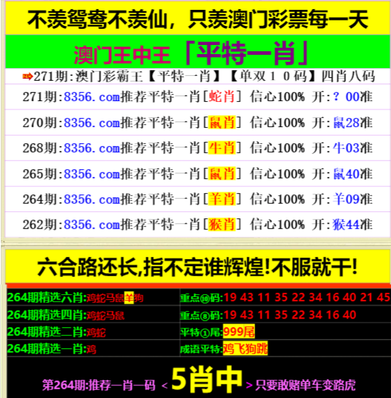 王中王資料一肖中特，深度解析與SEO優(yōu)化策略，王中王資料一肖中特深度解析與SEO優(yōu)化策略指南