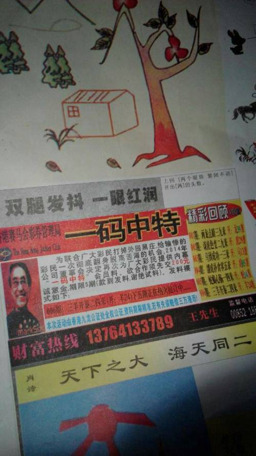 欲錢(qián)詩(shī)猜一肖——探尋王中王的奧秘，探尋王中王的奧秘，欲錢(qián)詩(shī)猜一肖