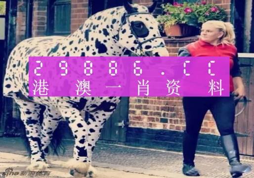 王中王一肖一特一中香港，探索關(guān)鍵詞背后的故事，香港關(guān)鍵詞背后的故事探索，王中王一肖一特一中