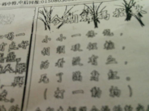 揭秘劉伯溫的一肖一特，探尋神秘傳奇背后的真相，劉伯溫傳奇揭秘，揭秘生肖之謎與獨(dú)特特質(zhì)背后的真相