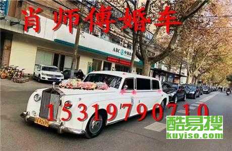 王中王車奪平特一肖免費(fèi)——深度解析與探索，王中王車奪平特一肖，深度解析與免費(fèi)探索