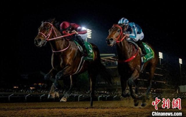 香港王中王一肖中特馬，探索背后的奧秘，香港王中王一肖中特馬背后的奧秘探索