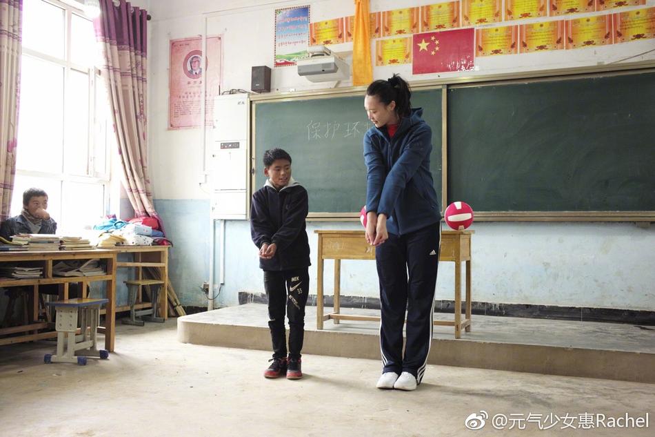 王中王平特一肖一大公開，深度解析與探索，王中王平特一肖公開，深度解析與探索揭秘
