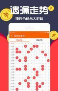 王中王一肖十，深度解析與SEO優(yōu)化策略，王中王一肖十深度解析與SEO優(yōu)化策略探討