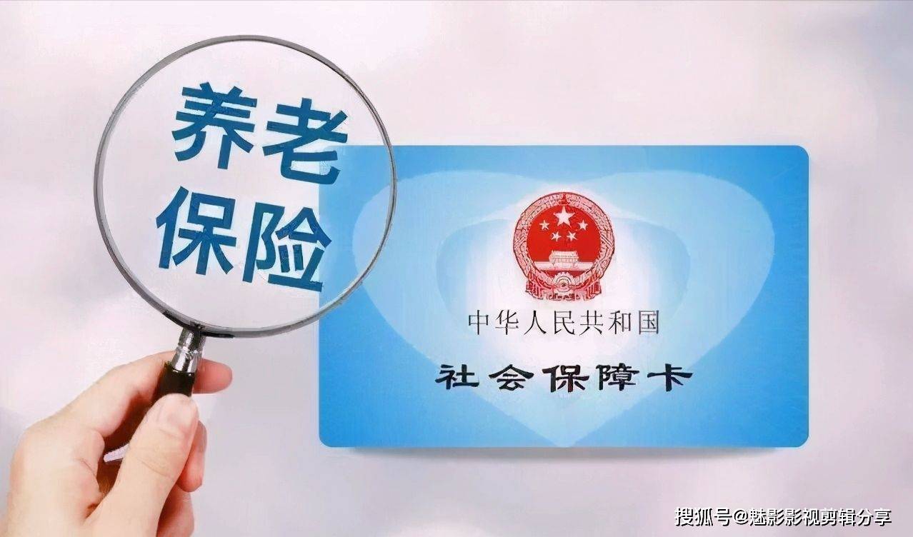 揭秘王中王一期一肖特中獎(jiǎng)背后的秘密，王中王一期一肖特中獎(jiǎng)背后的秘密揭秘