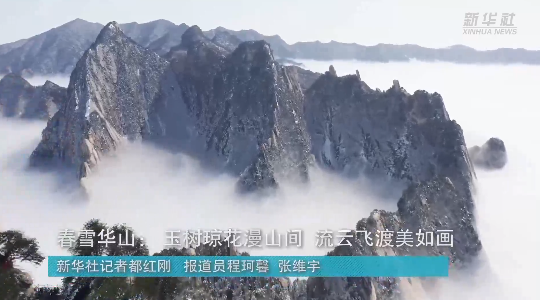 澳門最精準龍門，探索真正的精準之道，澳門最精準龍門，揭秘真正的精準之道
