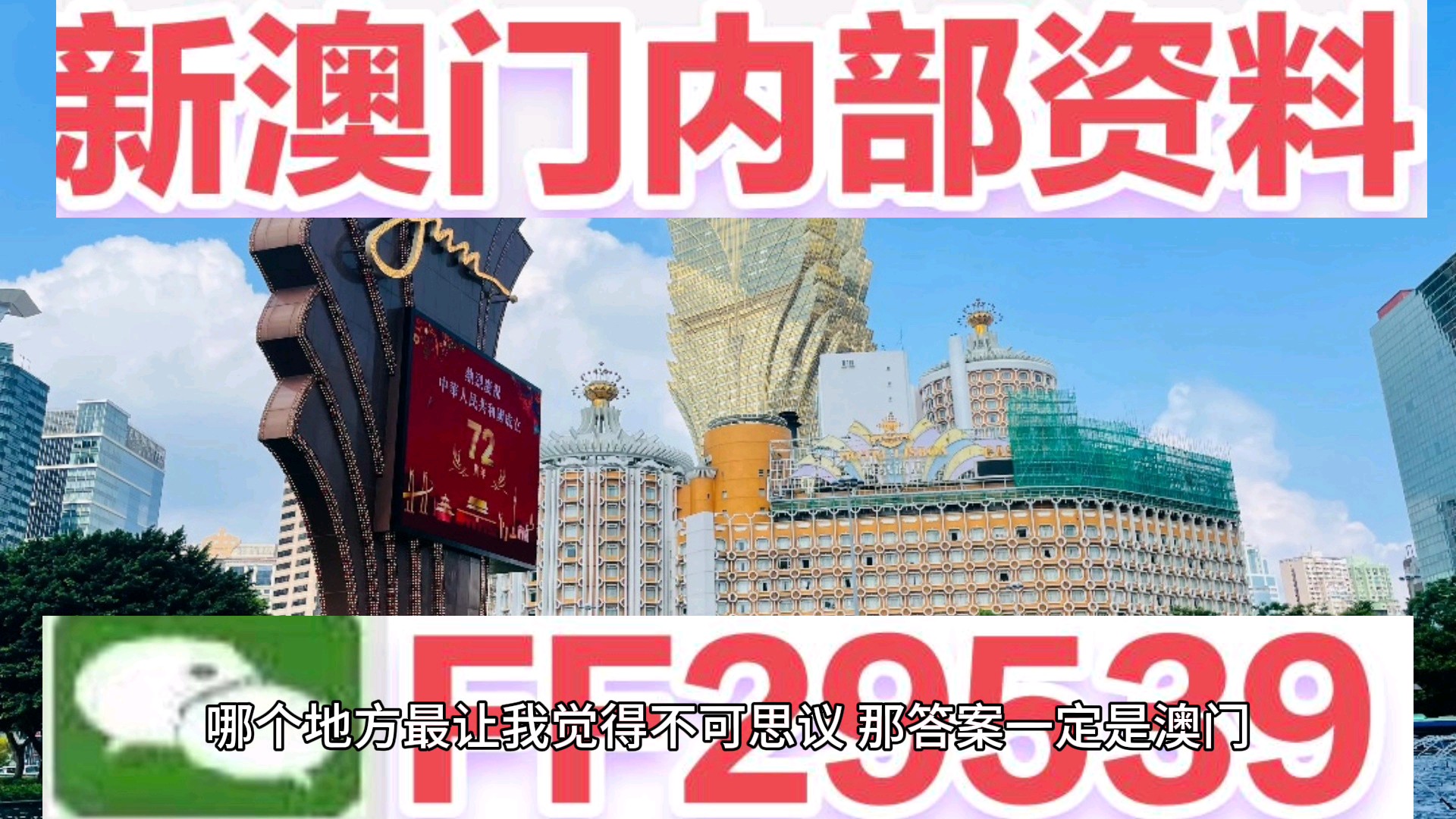 新澳門今晚平特一肖的預(yù)測(cè)與探索，澳門今晚生肖預(yù)測(cè)與探索之旅