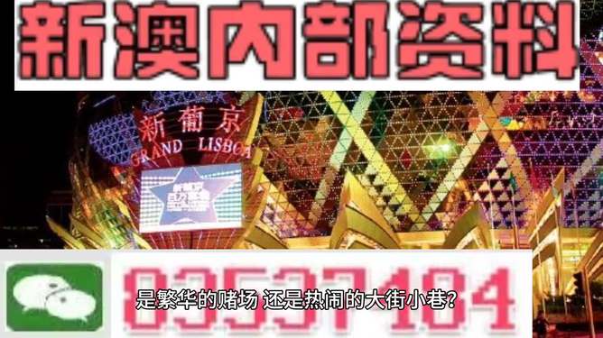 新澳門精準資料大全與管家婆料，探索SEO的奧秘，探索SEO奧秘，新澳門精準資料大全與管家婆料的秘密解析