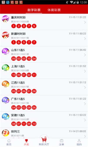 一碼一肖，揭秘背后的秘密與探索其獨(dú)特魅力，揭秘一碼一肖背后的秘密與獨(dú)特魅力探索