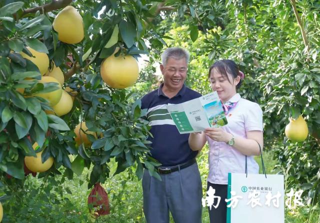 資料大全正版資料2025，一站式獲取所有你需要的信息，資料大全正版資料2025，一站式獲取所有信息總匯