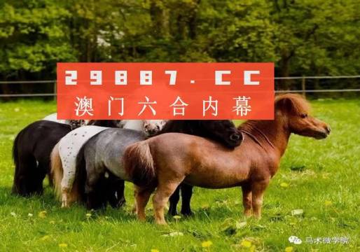 揭秘王中王四不像平特一肖，神秘現(xiàn)象的背后真相，揭秘王中王四不像平特一肖，神秘現(xiàn)象真相大揭秘