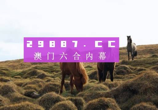 澳門六開獎(jiǎng)結(jié)果2023開獎(jiǎng)記錄查詢網(wǎng)站——全面解析與最新資訊，澳門六開獎(jiǎng)結(jié)果最新解析與資訊，全面查詢2023年開獎(jiǎng)記錄