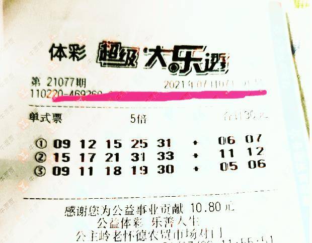 王中王077期指一生肖——揭秘背后的奧秘與生肖運(yùn)勢(shì)分析，揭秘生肖奧秘與運(yùn)勢(shì)分析，王中王生肖預(yù)測(cè)077期揭曉！